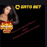 Grupo de Telegram Sinais da RTG Todas plataformas dicas — Entre Agora