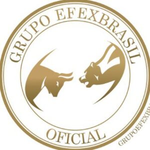 Grupo de Telegram Traders & Iniciantes – Bolsa — Telegram
